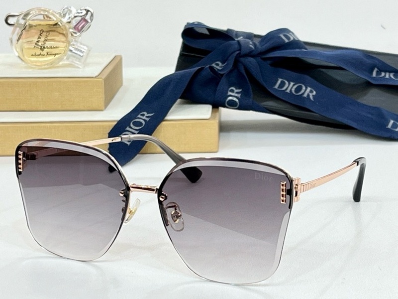 DIOR Sunglasses 106